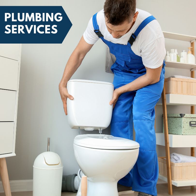 Plumbing Company in Beulah, MI